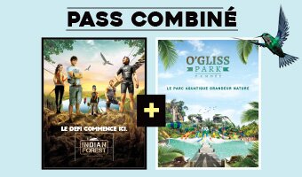 Passe combine